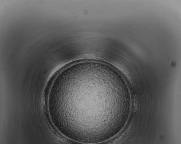 X0000097991070200804011803