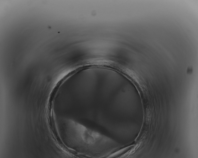 X0000097991071200804011803