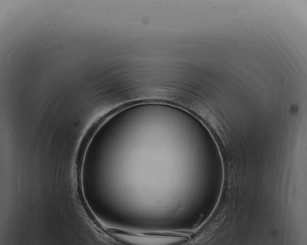 X0000097991072200804011803
