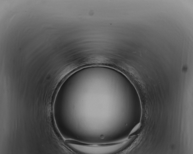 X0000097991073200804011803