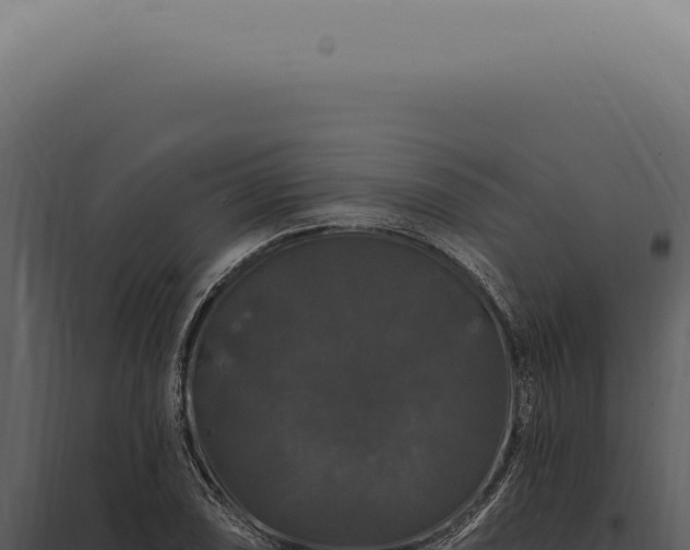 X0000097991074200804011803
