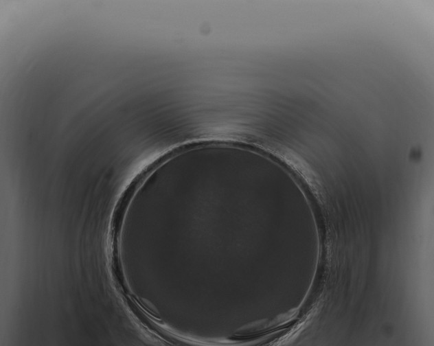X0000097991077200804011803