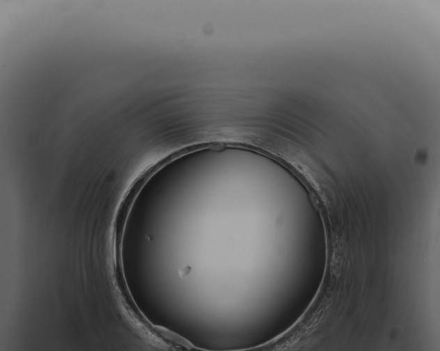 X0000097991080200804011803