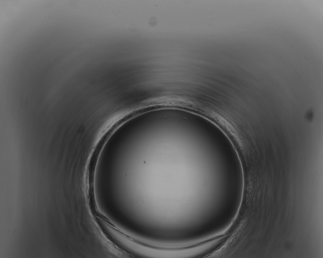 X0000097991082200804011803