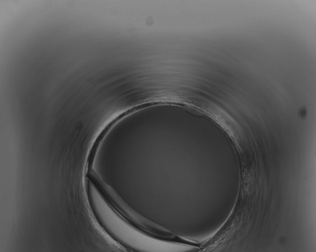 X0000097991084200804011803