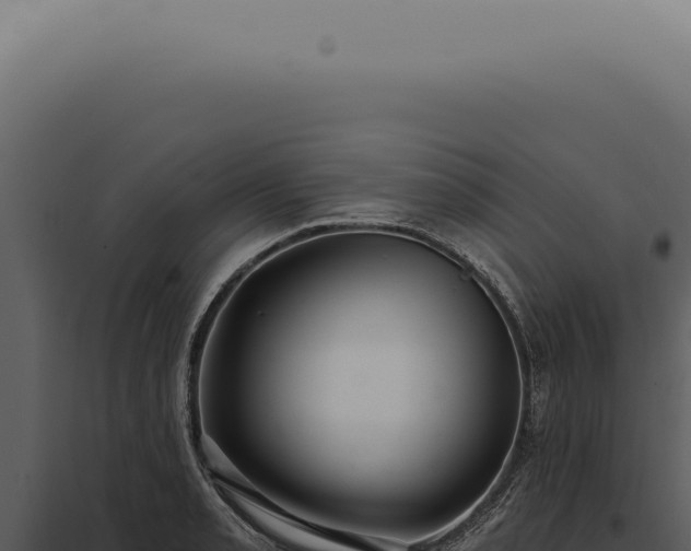 X0000097991085200804011803