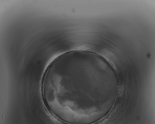 X0000097991086200804011803