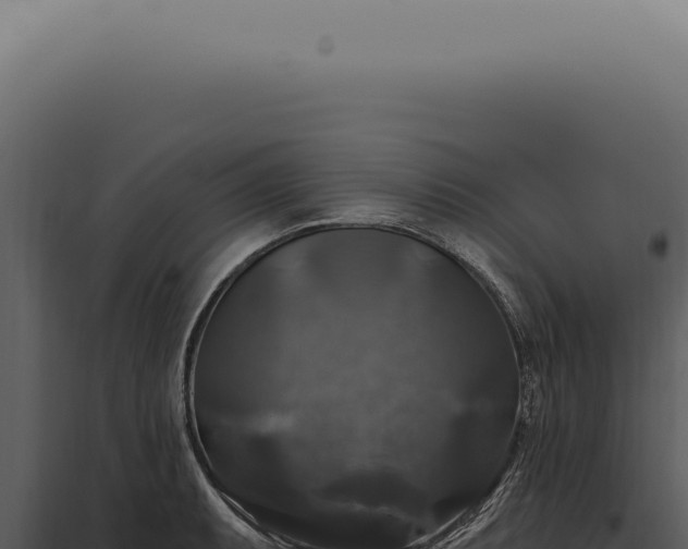 X0000097991087200804011803