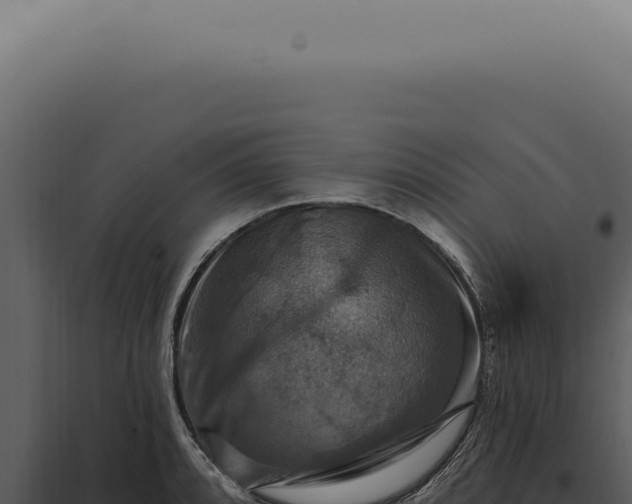X0000097991088200804011803