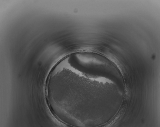 X0000097991090200804011803