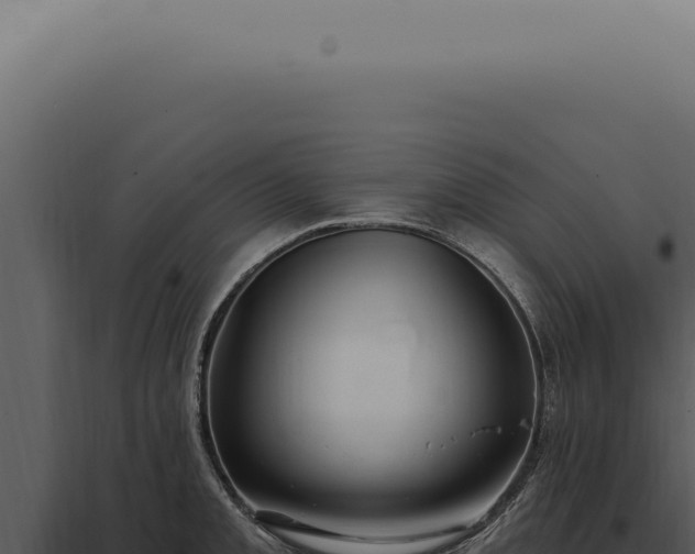 X0000097991093200804011803