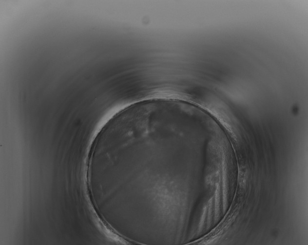 X0000097991094200804011803