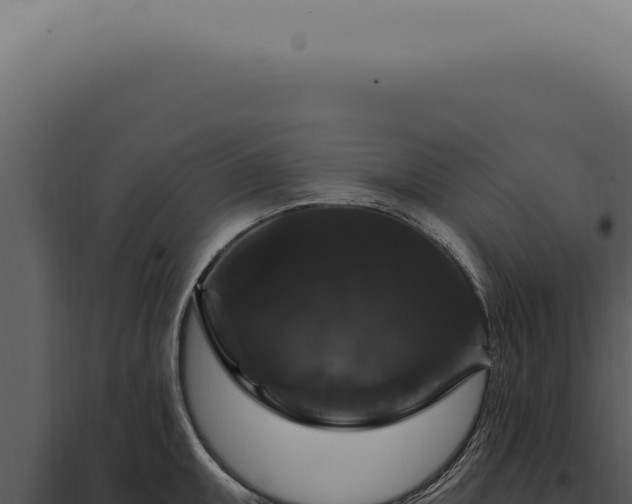 X0000097991095200804011803