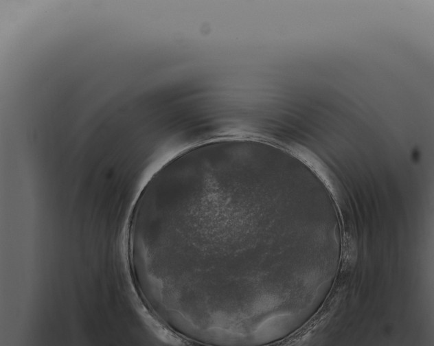 X0000097991098200804011803