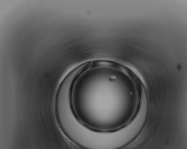 X0000097991101200804011803