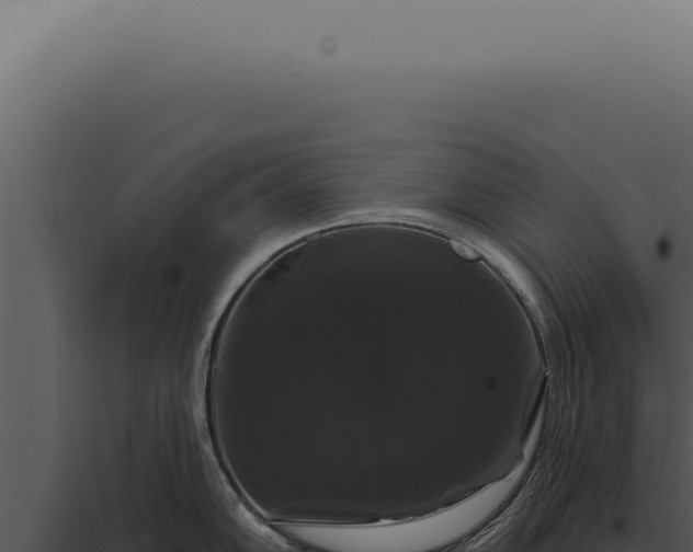 X0000097991102200804011803
