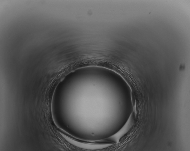 X0000097991109200804011802