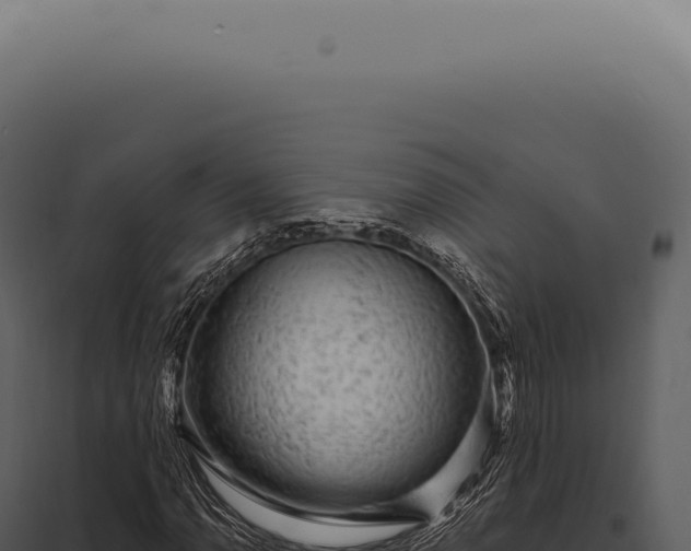 X0000097991110200804011802