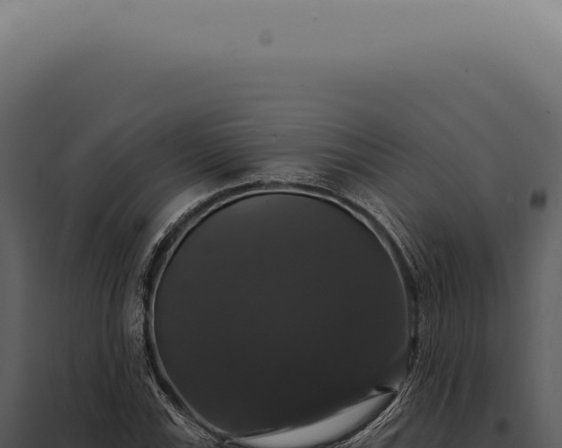 X0000097991115200804011802