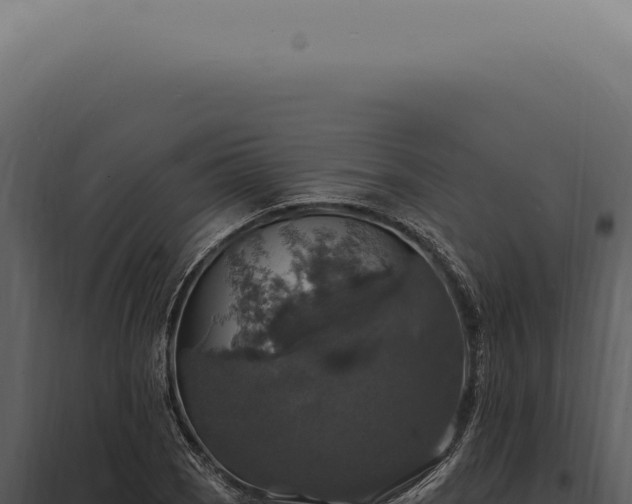 X0000097991121200804011802