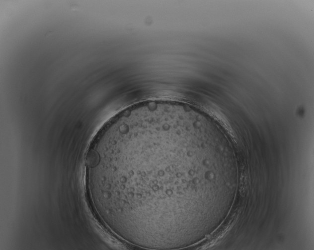 X0000097991130200804011802
