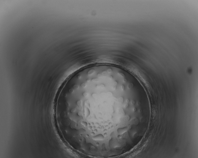 X0000097991133200804011802