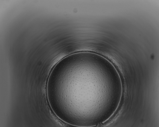 X0000097991137200804011802