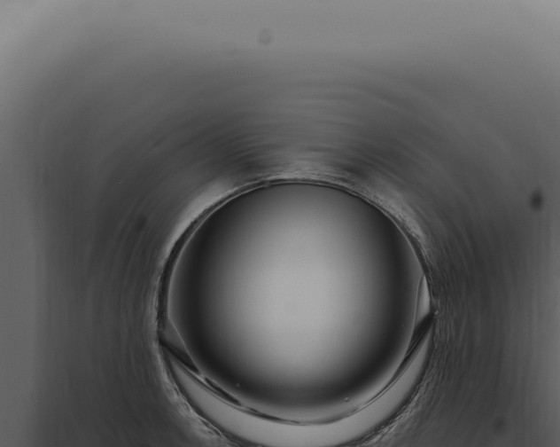 X0000097991138200804011802