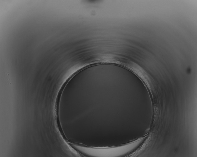 X0000097991141200804011802