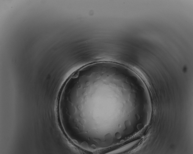 X0000097991149200804011802
