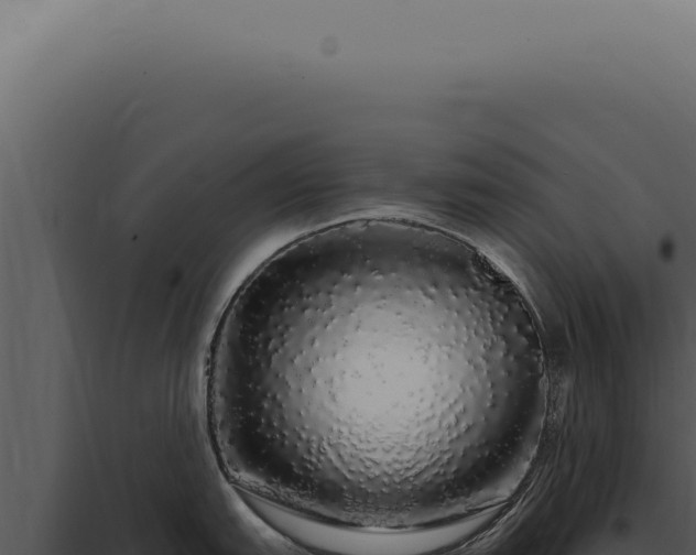 X0000097991151200804011802