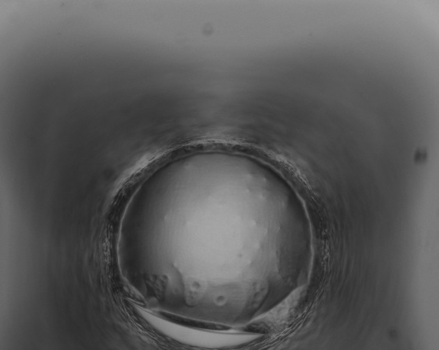 X0000097991159200804011802