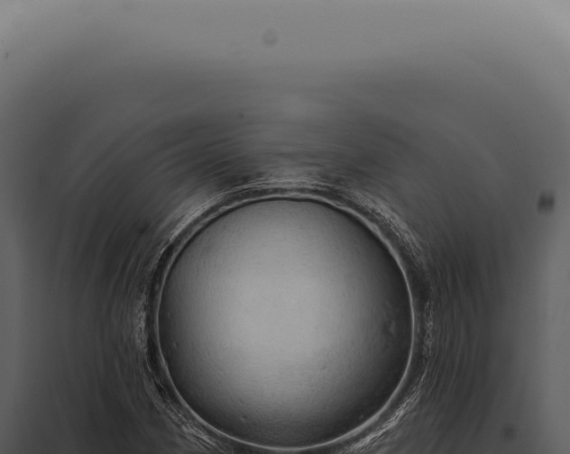 X0000097991162200804011802