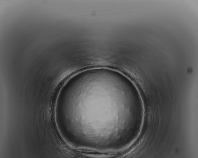 X0000097991163200804011801