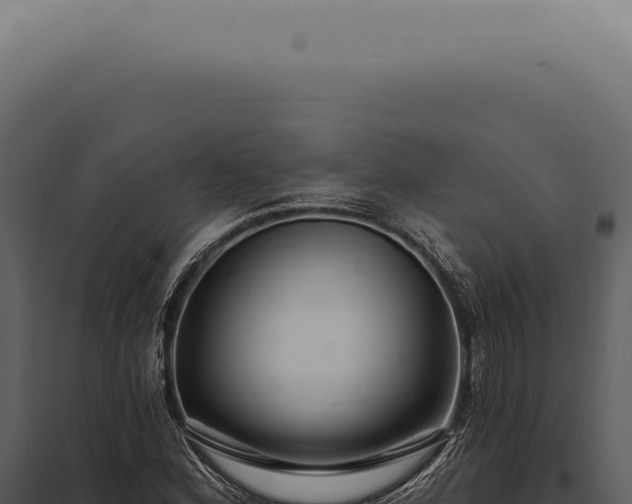 X0000097991164200804011801