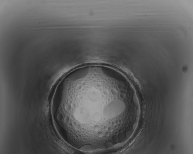 X0000097991167200804011801