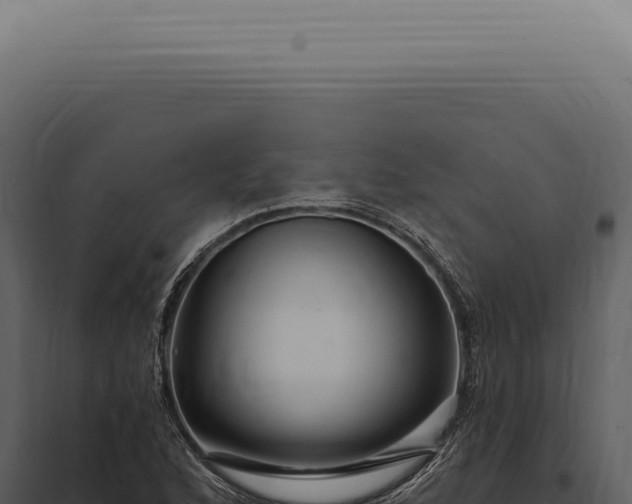 X0000097991168200804011801