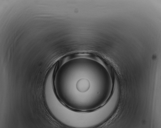 X0000097991169200804011801