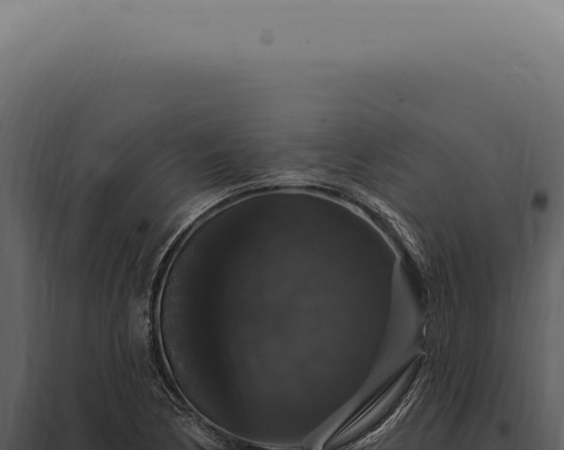 X0000097991170200804011801