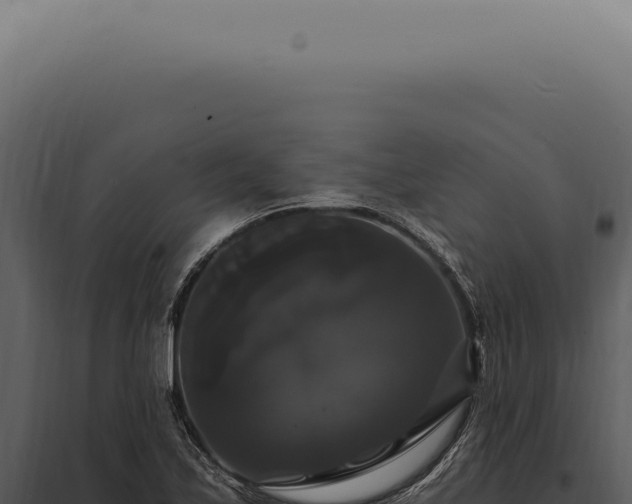 X0000097991171200804011801