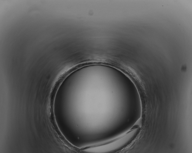 X0000097991172200804011801
