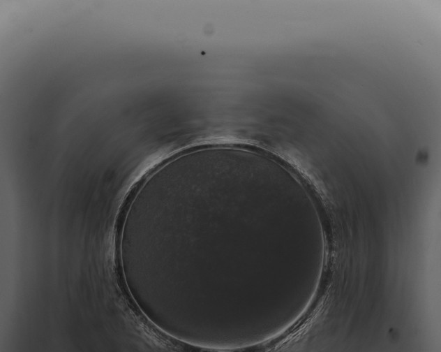 X0000097991173200804011801