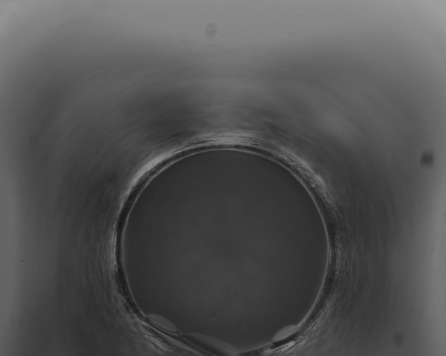 X0000097991174200804011801