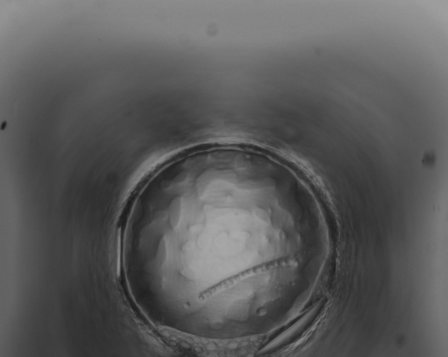 X0000097991175200804011801
