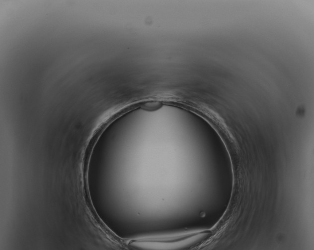 X0000097991176200804011801
