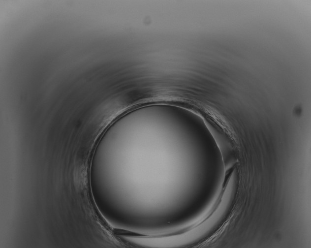 X0000097991177200804011801
