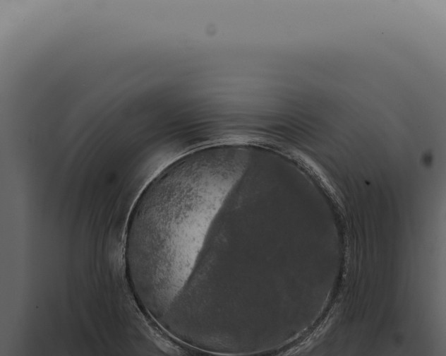 X0000097991178200804011801