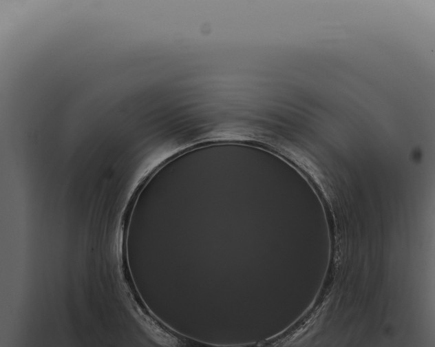 X0000097991179200804011801