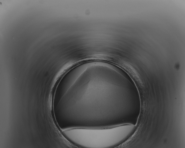 X0000097991180200804011801