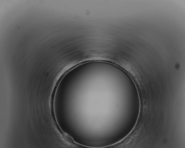 X0000097991181200804011801